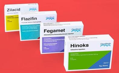 安徽华康药品包装年产5000吨医药彩盒项目环评关注 核心包装辅助设备解析与环保考量